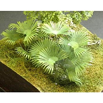【中古】和巧 ジオラマアクセサリーシリーズ ビロウ g6bh9ry 4,670円