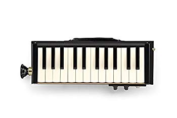 【中古】HAMMOND ハモンド PRO-24B 鍵盤ハーモニカ エレアコ バスモデル dwos6rj