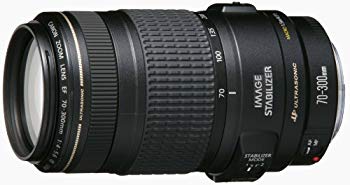 【中古】【非常に良い】Canon 望遠ズームレンズ EF70-300mm F4-5.6 IS USM フルサイズ対応|ドリエム店