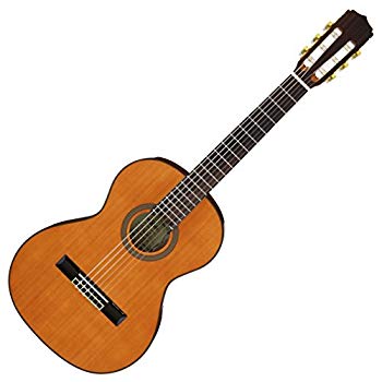 【中古】ARIA アリア ミニクラシックギター　ソフトケース付　A-20-58｜ドリエム店