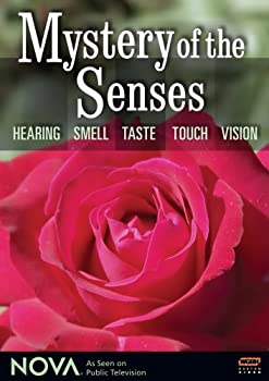 【中古】Nova: Mystery of the Senses [DVD] [Import]｜ドリエム店