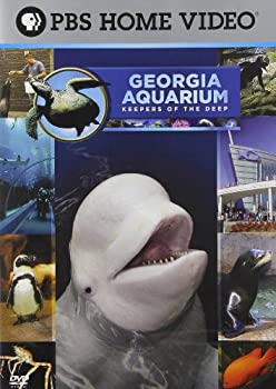 【中古】Georgia Aquarium [DVD] [Import]