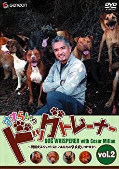 【中古】さすらいのドッグトレーナー Vol.2~問題犬スペシャリスト/あなたのダメ犬しつけます~ [DVD]｜ドリエム店