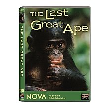 【中古】Nova: Last Great Ape [DVD] [Import]｜ドリエム店