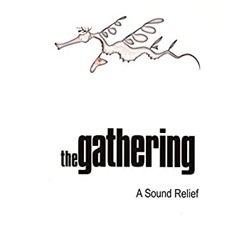 【中古】Sound Relief / [DVD] [Import]