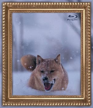 【中古】レオナルド犬プリオ [Blu-ray]
