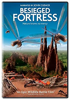 【中古】Besieged Fortress [DVD] [Import]｜ドリエム店