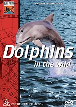 【中古】Dolphins in the Wild [DVD] [Import]｜ドリエム店