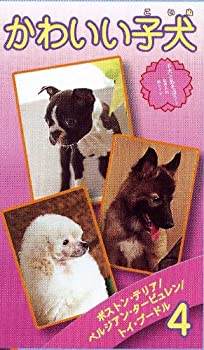 【中古】かわいい子犬(4) [VHS]