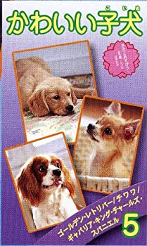 中古】かわいい子犬(5) [VHS]