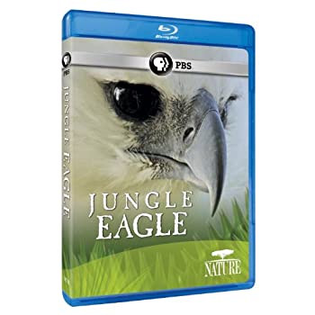 【中古】Nature: Jungle Eagle [Blu-ray] [Import]