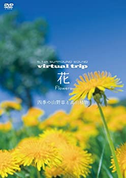 【中古】virtual trip　花　Flowers　四季の山野草と高山植物 [DVD]｜ドリエム店 10,979円