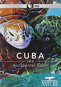 【中古】Cuba: The Accidental Eden [DVD] [Import]｜ドリエム店