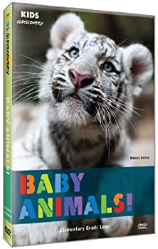 【中古】Baby Animals [DVD] [Import]
