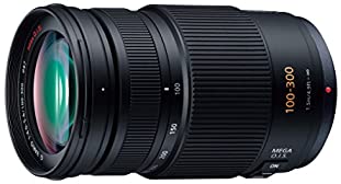【中古】パナソニック 望遠望遠レンズ マイクロフォーサーズ用 ルミックス G VARIO 100-300粍/F4.0-5.6 /MEGA O.I.S. H-