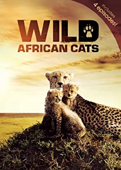 【中古】Wild African Cats [DVD] [Import]