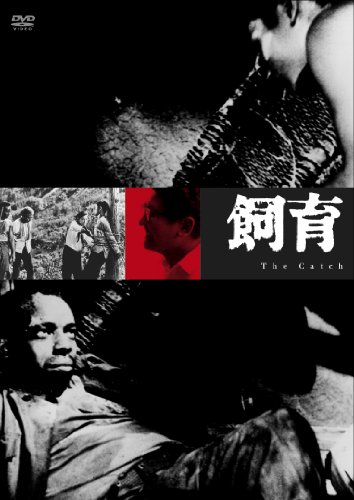 【中古】飼育 [DVD]