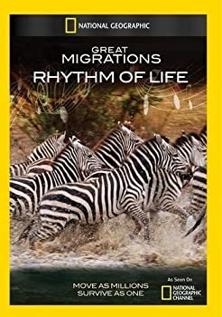 【中古】Great Migrations: Rhythm of Life [DVD] [Import]