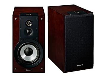 【中古】ソニー 金棒引き取り合わせ (2台1組) ハイレゾ相応う SS-HW1