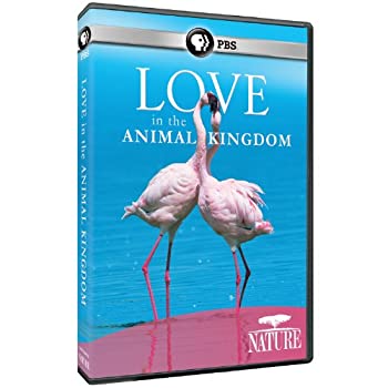 【中古】Nature: Love in the Animal Kingdom [DVD] [Import]｜ドリエム店