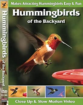【中古】Hummingbirds of the Backyard [DVD] [Import]