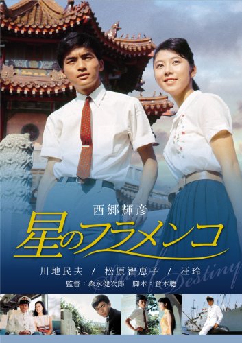 【中古】星のフラメンコ [DVD]
