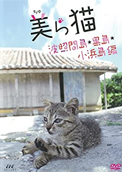 【中古】美ら猫(ちゅら猫)竹富島編 [DVD]