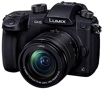 【中古】パナソニック 鏡鑑受け答え一眼写真機 ルミックス GH5 水晶体一揃いの道具 標準尺度望遠レンズ嘱する 黒いこと DC-GH5M-K