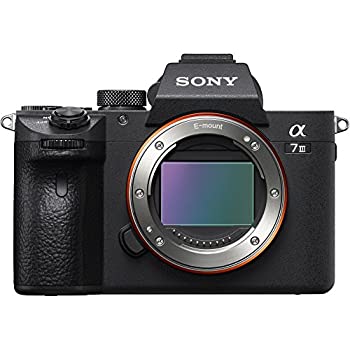 【中古】ソニー 鏡鑑受け答え一眼 α7 III 上半身 ILCE-7M3