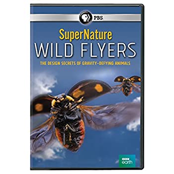 【中古】Supernature: Wild Flyers [DVD] [Import]｜ドリエム店 6,782円