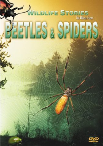 【中古】Beetles & Spiders [DVD] 6,701円