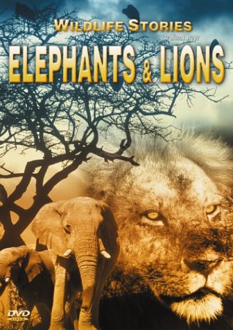 【中古】Elephants & Lions [DVD]｜ドリエム店