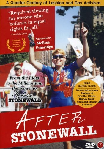 【中古】After Stonewall [DVD]