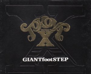 【中古】GIANT foot STEP