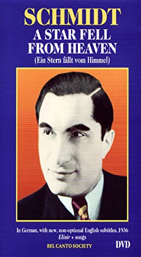 【中古】Star Fell From Heaven (Sub B&W) [DVD]