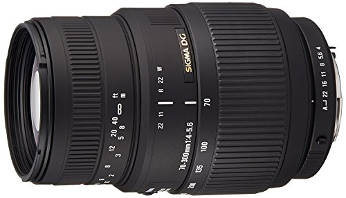 【中古】SIGMA 望遠ズームレンズ 70-300mm F4-5.6 DG MACRO ペンタックス用 フルサイズ対応 509453