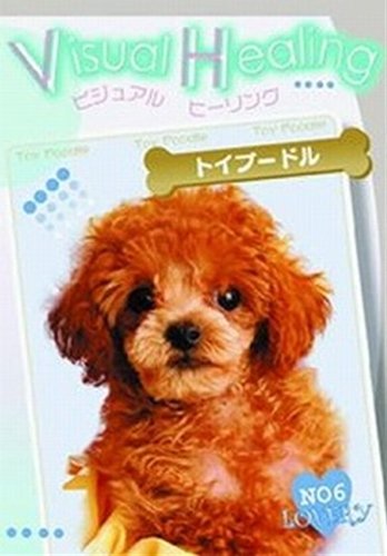 【中古】VisualHealingトイプードル 6 [レンタル落ち] [DVD]｜ドリエム店