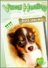 【中古】Visual Healing 7 チワワ(ブルータン) [DVD]