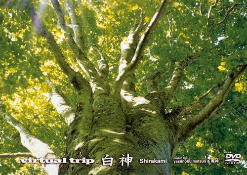 【中古】virtual trip 白神 (低価格版) [DVD]