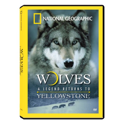 【中古】Wolves: A Legend Returns to Yellowstone [DVD] 9,072円