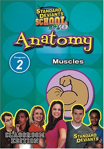 【中古】Standard Deviants: Anatomy Program 2 - Muscles [DVD]｜ドリエム店