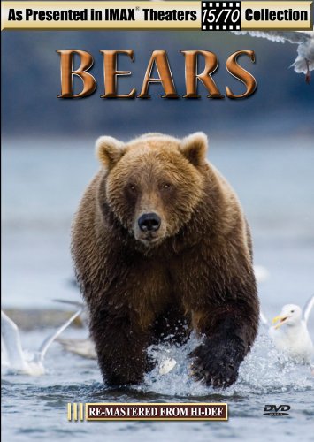 【中古】Bears [DVD]｜ドリエム店 36,217円