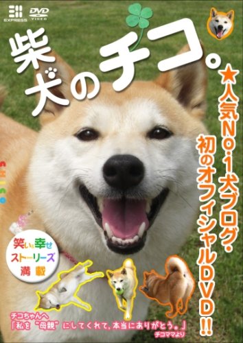 【中古】柴犬のチコ。 [DVD]