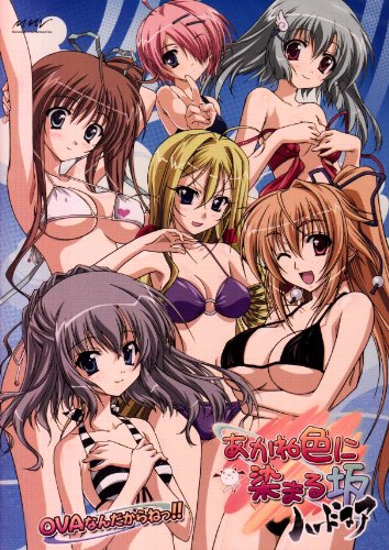【中古】あかね色に染まる坂 OVAスペシャル 通常版 [DVD] 5,932円