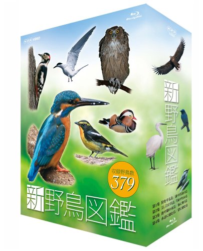 【中古】新 野鳥図鑑 ブルーレイBOX 全4枚セット【ＮＨＫスクエア限定商品】｜ドリエム店