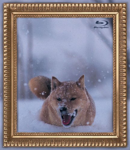 【中古】レオナルド犬プリオ [Blu-ray] 8,726円