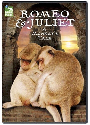 【中古】Romeo & Juliet: A Monkeys Tale [DVD]｜ドリエム店
