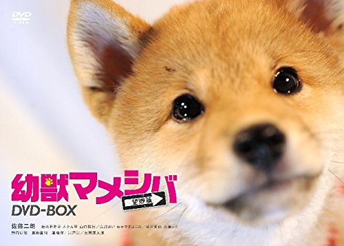 【中古】ドラマ「 幼獣マメシバ 望郷篇 」DVD-BOX