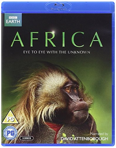 【中古】Africa｜ドリエム店