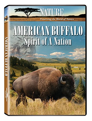 【中古】Nature: American Buffalo Spirit of a Nation [DVD]